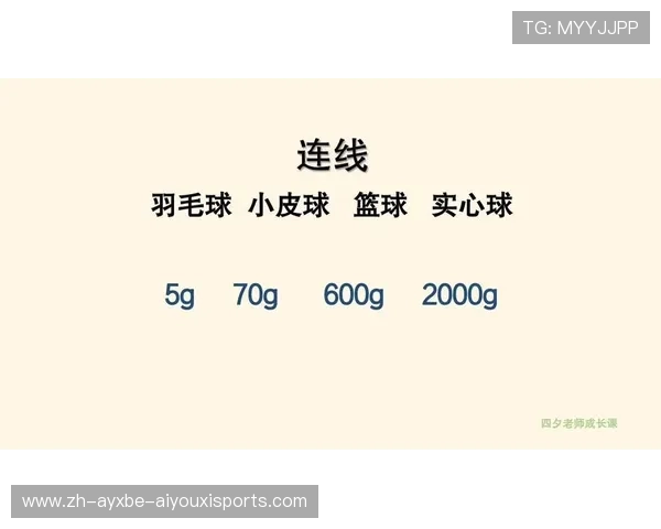 羽毛球重量修改